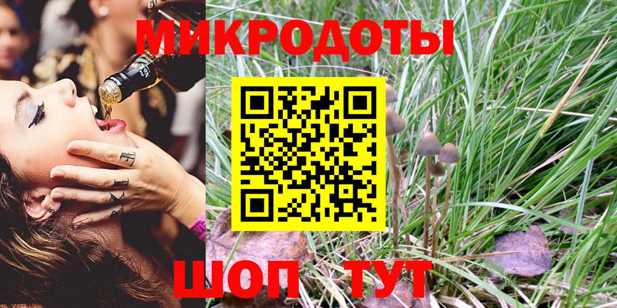 Тельмана  Псилоцибиновые грибы Psilocybe  Вход с VPN 